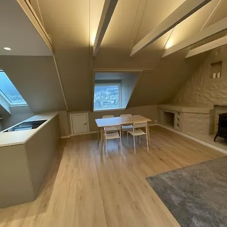 Nyoppusset Og Stor Leilighet Med 4 Soverom. Appartamento